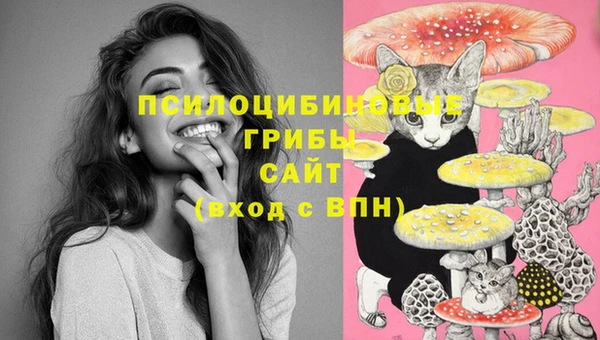 метамфетамин Алзамай